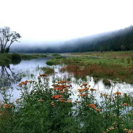 Basthaus - Wohnen In Der Natur *